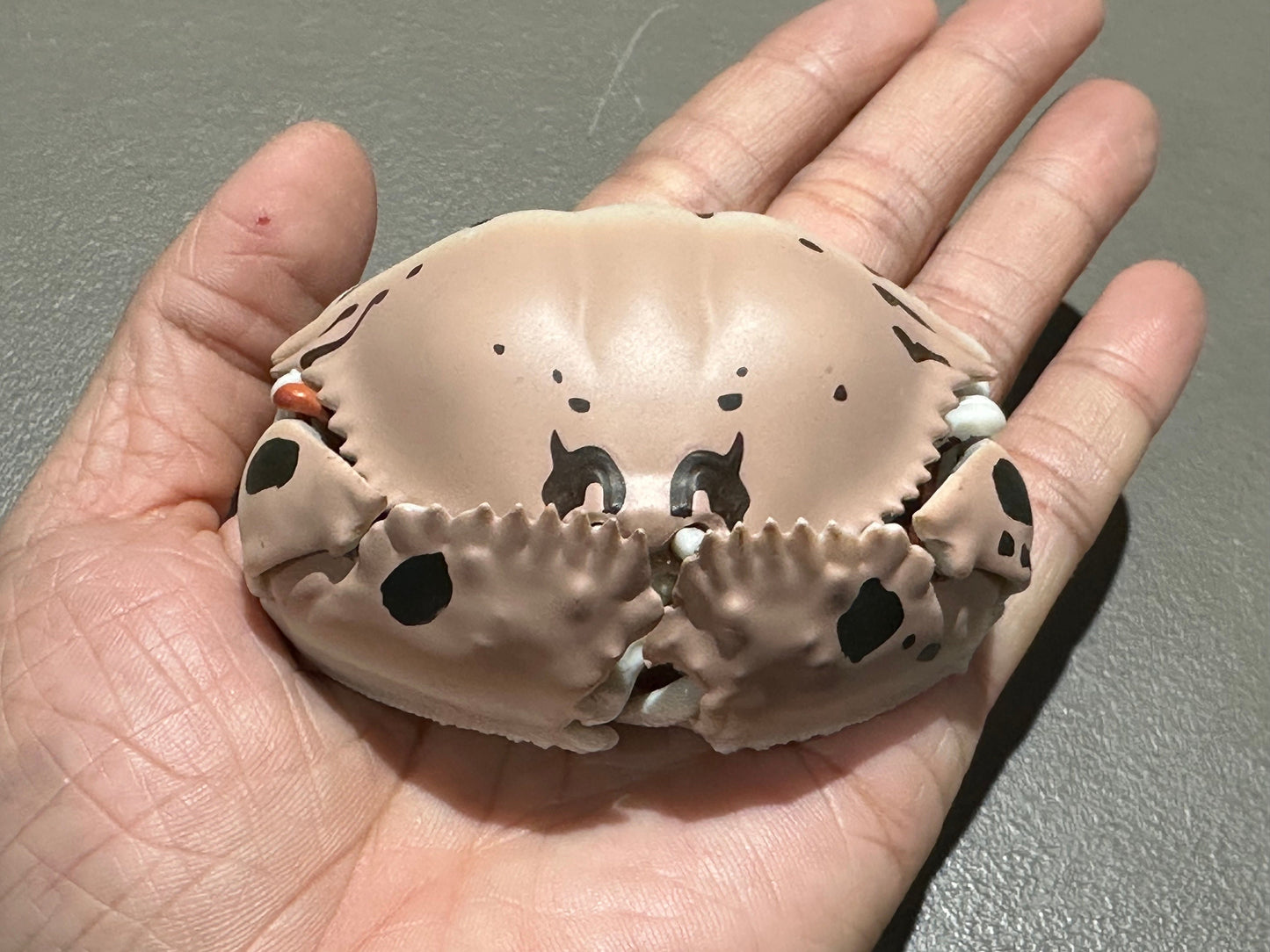 Realistic Plastic Ocean Glasses Box Crab Figure w/Moving Joints Parts
