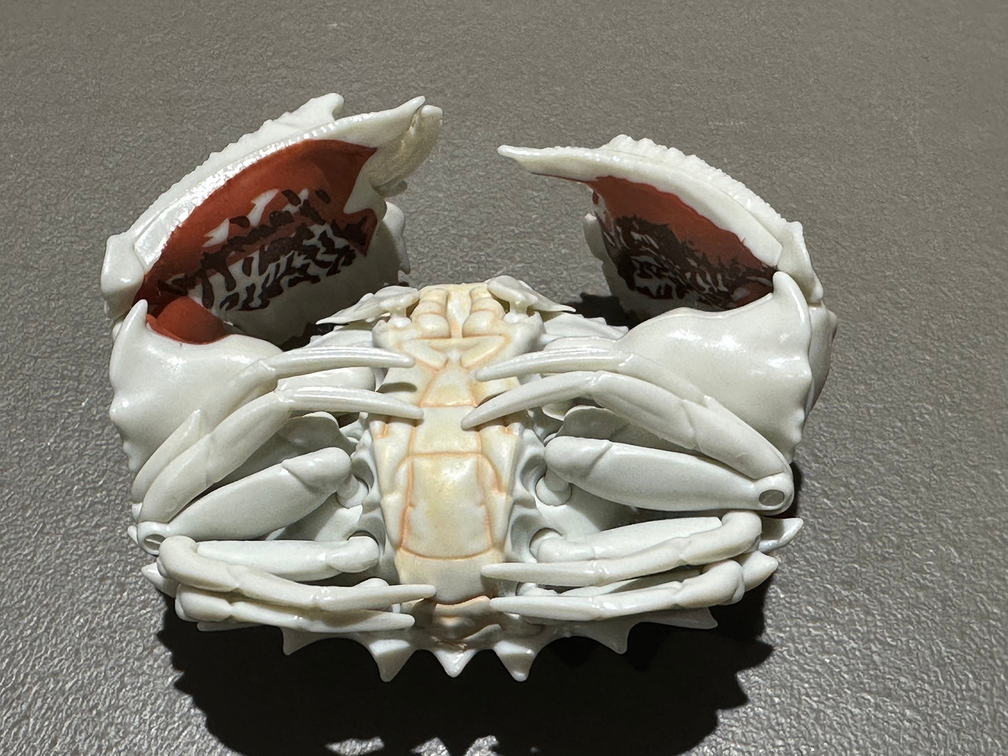 Realistic Plastic Ocean Glasses Box Crab Figure w/Moving Joints Parts