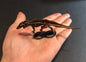 Vintage Kaiyodo UHA Dinotales Series 3 Acrocanthosaurus Skeleton Dinosaur Figure