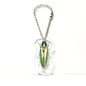 Jewel Yamato Ball Beetle Acrylic Keychain Key Holder