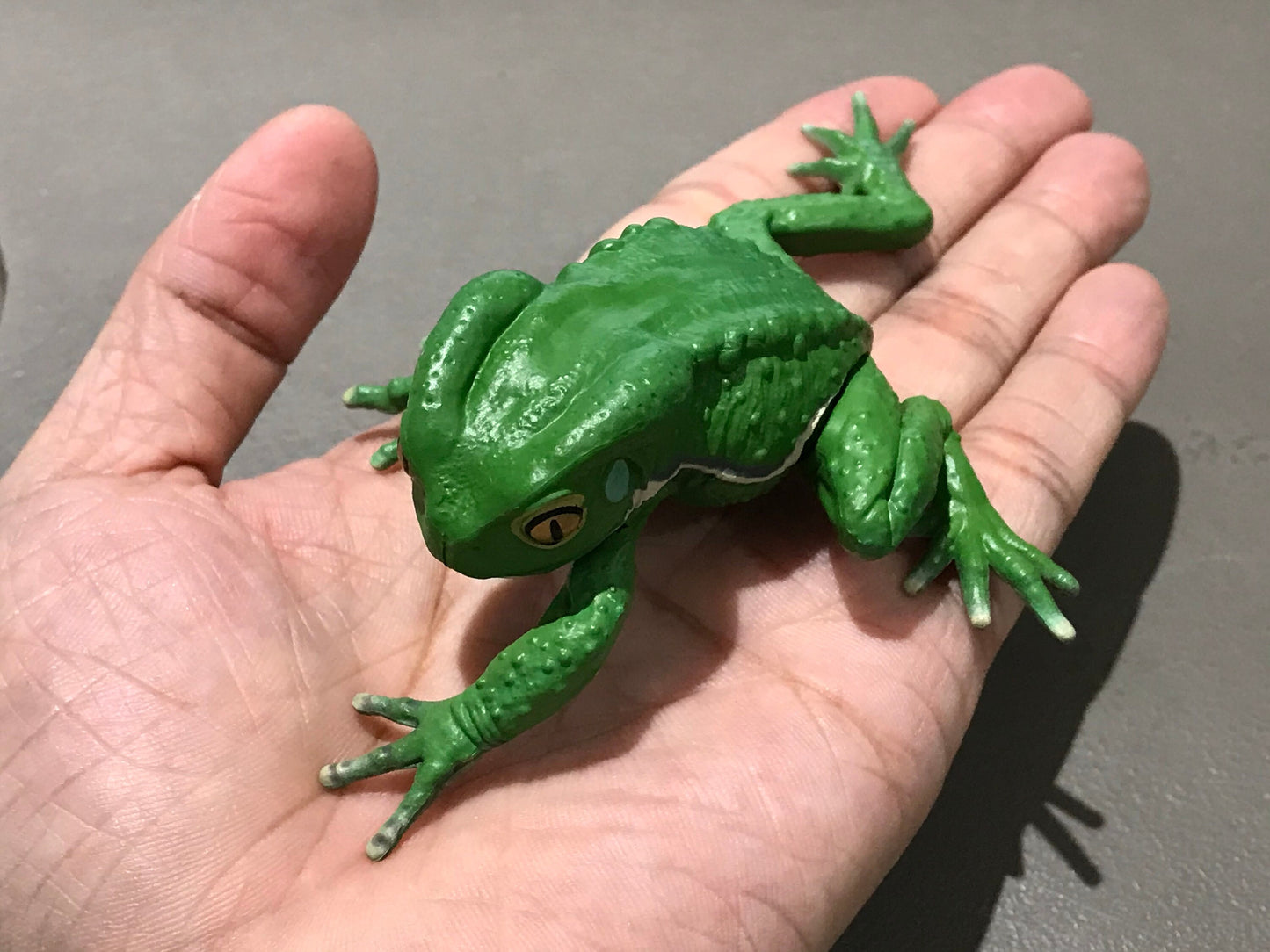 Realistic Waxy Monkey Leaf Tree Frog Plastic Full Color Figure