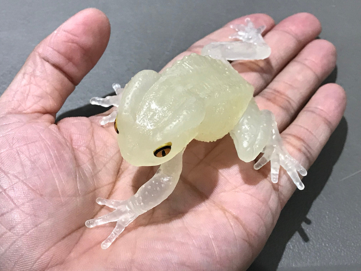 Realistic Waxy Monkey Leaf Tree Frog Plastic Glow in Dark Clear Color Figure