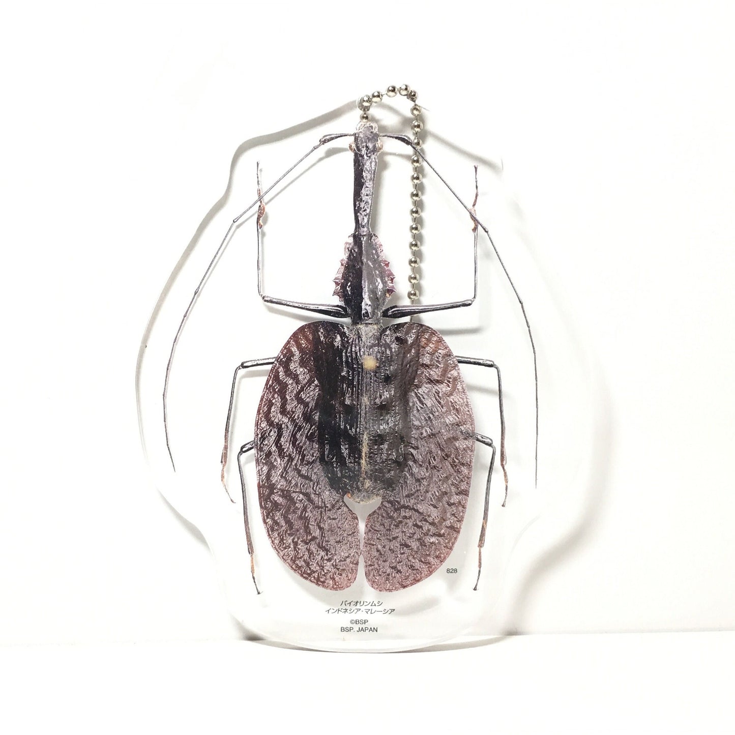 Violin Beetle Acrylic Keychain Key Holder