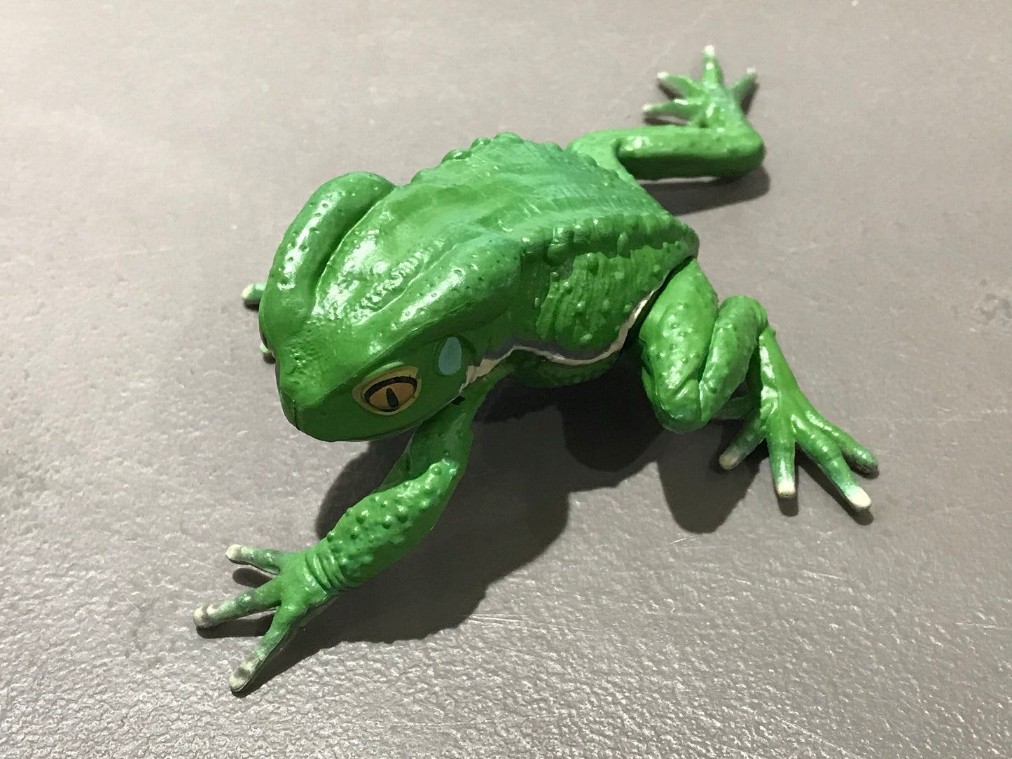 Realistic Waxy Monkey Leaf Tree Frog Plastic Full Color Figure