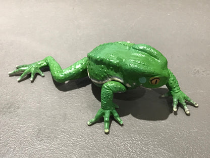 Realistic Waxy Monkey Leaf Tree Frog Plastic Full Color Figure