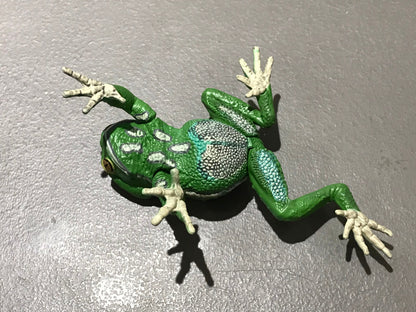 Realistic Waxy Monkey Leaf Tree Frog Plastic Full Color Figure
