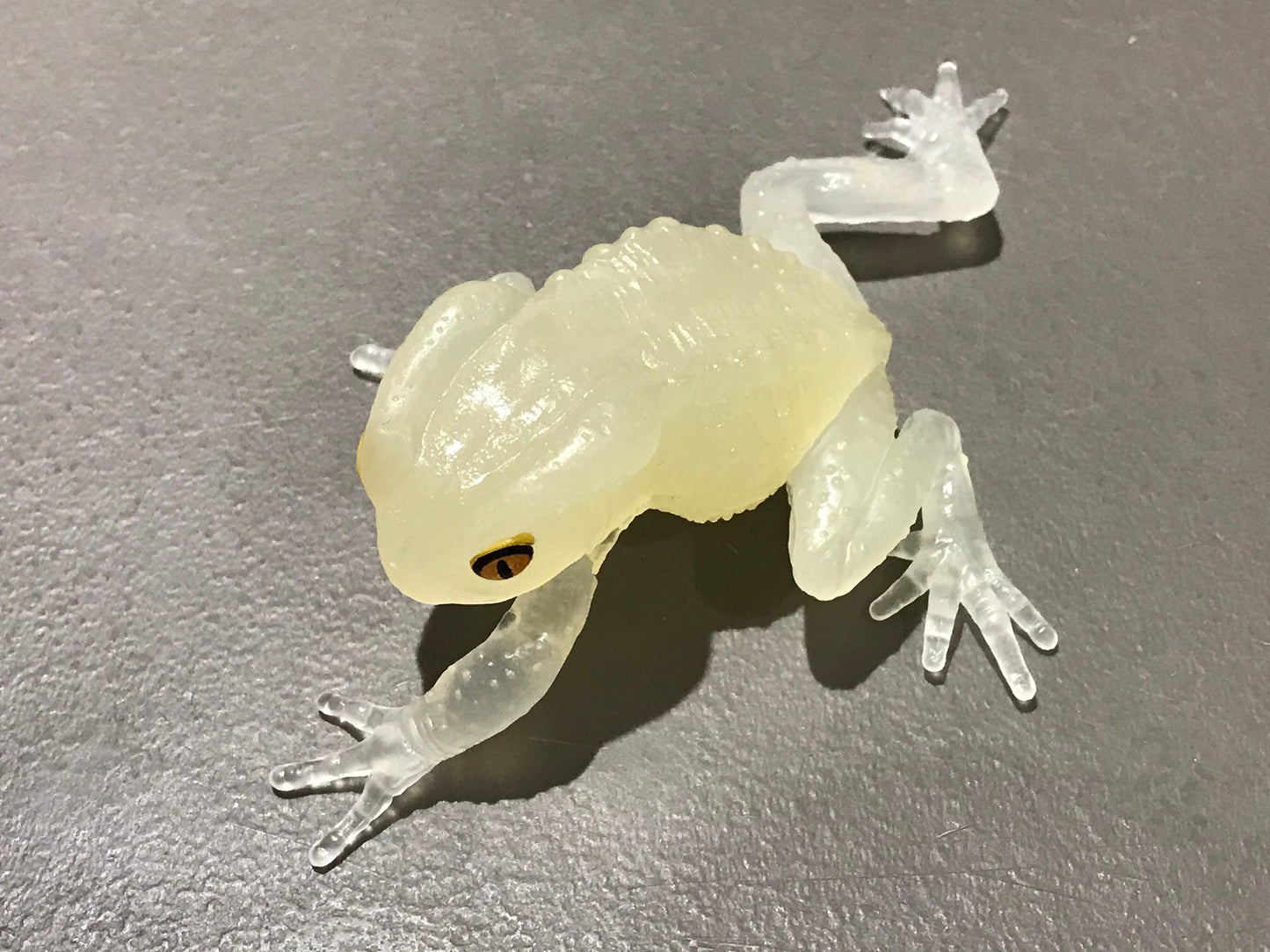 Realistic Waxy Monkey Leaf Tree Frog Plastic Glow in Dark Clear Color Figure