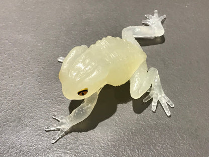 Realistic Waxy Monkey Leaf Tree Frog Plastic Glow in Dark Clear Color Figure