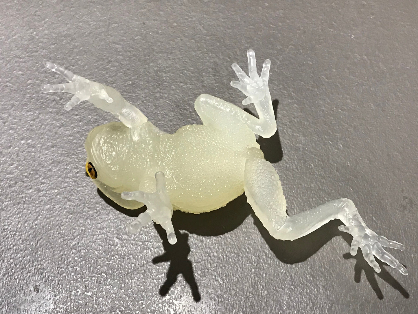 Realistic Waxy Monkey Leaf Tree Frog Plastic Glow in Dark Clear Color Figure