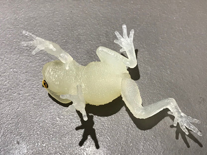 Realistic Waxy Monkey Leaf Tree Frog Plastic Glow in Dark Clear Color Figure