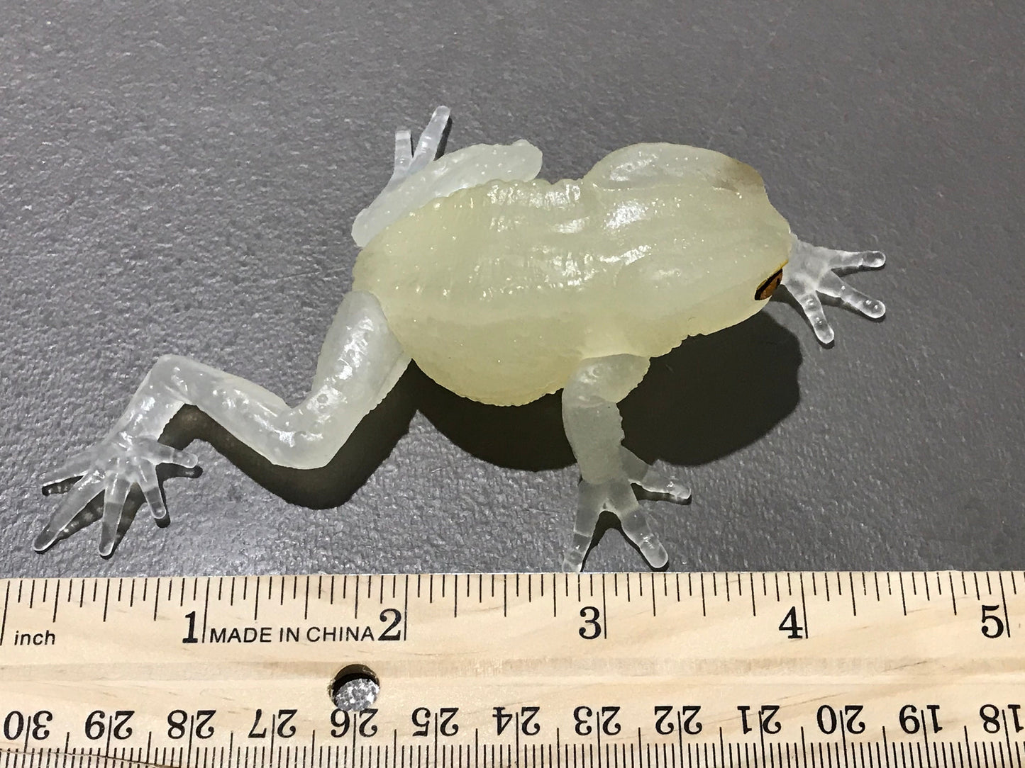 Realistic Waxy Monkey Leaf Tree Frog Plastic Glow in Dark Clear Color Figure