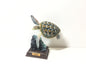 Nature Techni Colour Green Turtle Animal Figure