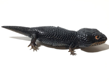 Bandai Blue-tongued Skink Melanistic Action Lizard Figure