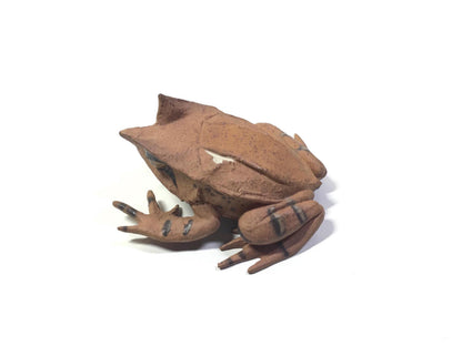 Vintage Colorata Malayan Malaysian Horned Frog Figure
