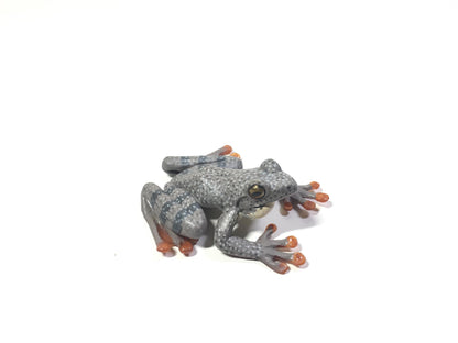 Vintage Colorata Kajika Gaeru Frog Figure