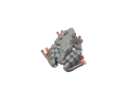 Vintage Colorata Kajika Gaeru Frog Figure